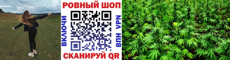 Купить наркотик аптеки Протвино APVP  Марихуана  МДМА  LSD-25  мега ONION  ГАШ  МЕФ 