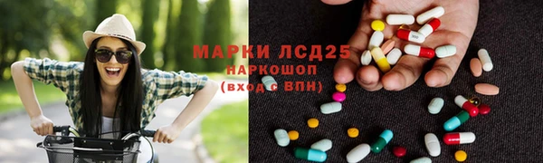 спайс Арсеньев