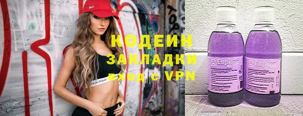 спайс Арсеньев