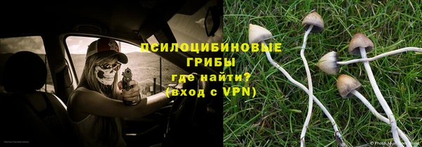 спайс Арсеньев