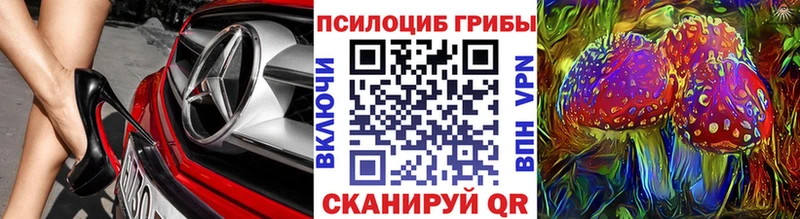 Псилоцибиновые грибы мухоморы  даркнет сайт  Протвино 